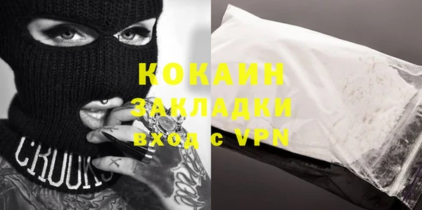 индика Бородино