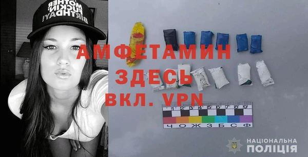 индика Бородино