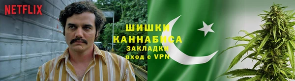 индика Бородино