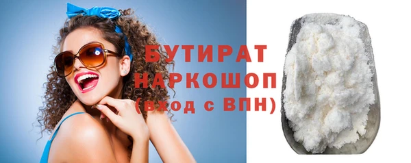 индика Бородино