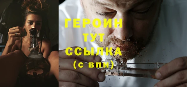 индика Бородино