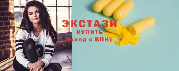 индика Бородино