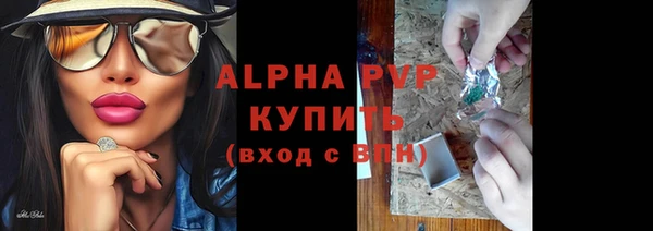 индика Бородино