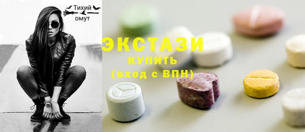 индика Бородино