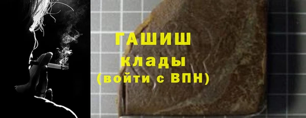 индика Бородино