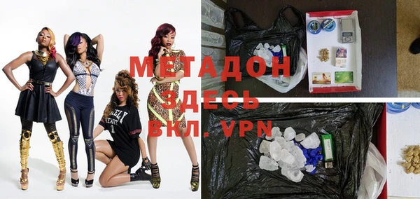 индика Бородино