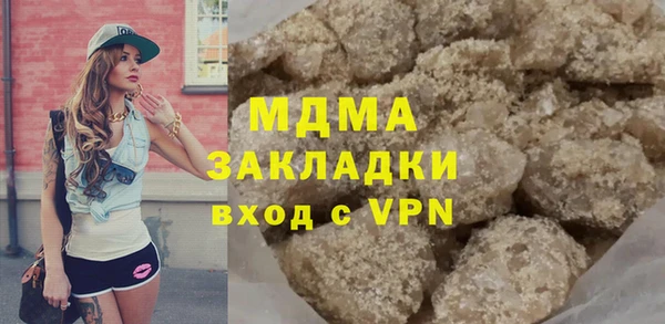 индика Бородино