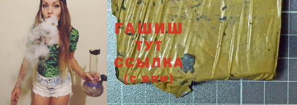 индика Бородино