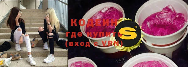 индика Бородино