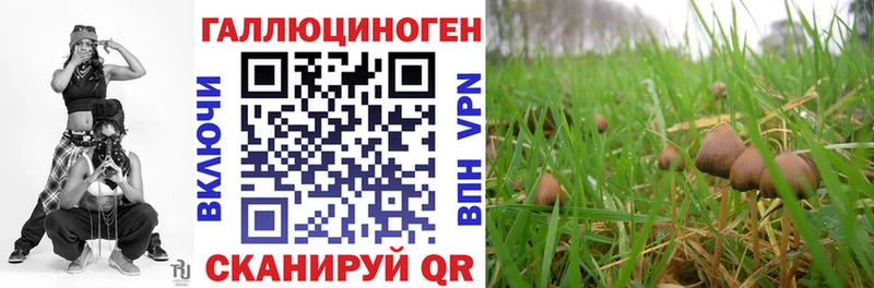 Псилоцибиновые грибы ЛСД  Купить где  Бологое 