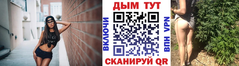 Купить  Бологое  Каннабис ГИДРОПОН 